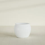 Shanghai Fishbowl Planter in Matte Bright White, 22", shown empty