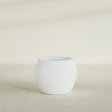 Shanghai Fishbowl Planter in Matte Bright White, 22", shown empty