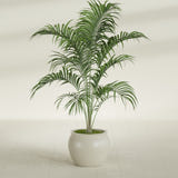 Shanghai Fishbowl fiberglass planter in Satin Beige, shown planted, in a sunlit interior