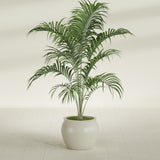 Shanghai Fishbowl fiberglass planter in Satin Beige, shown planted, in a sunlit interior