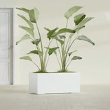 Badalona Rectangular fiberglass planter in Gloss Bright White, shown planted, in a sunlit interior
