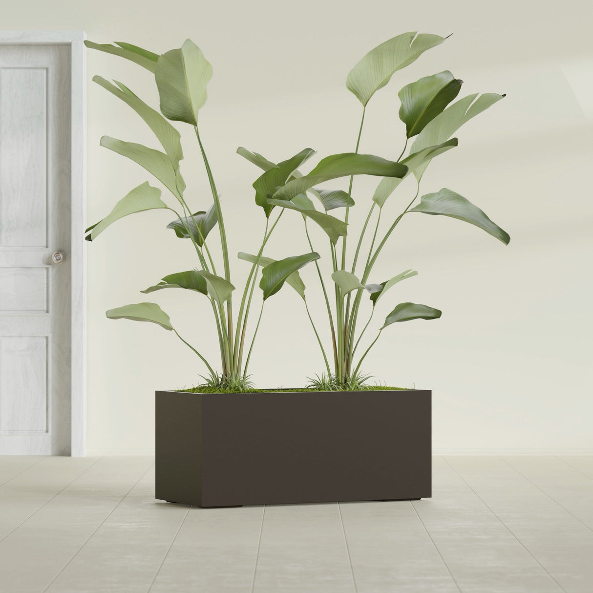 Badalona Rectangular fiberglass planter in Matte Dark Brown, shown planted, in a sunlit interior