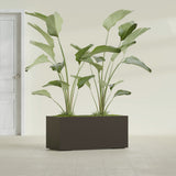 Badalona Rectangular fiberglass planter in Matte Dark Brown, shown planted, in a sunlit interior