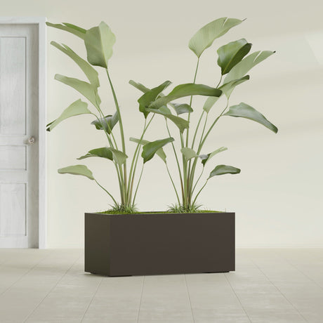 Badalona Rectangular fiberglass planter in Matte Dark Brown, shown planted, in a sunlit interior