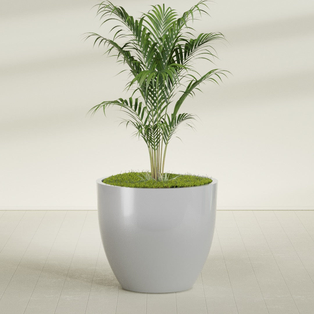 Wannsee Round fiberglass planter in Metallic Silver, shown planted, in a sunlit interior