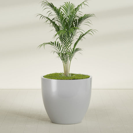 Wannsee Round fiberglass planter in Metallic Silver, shown planted, in a sunlit interior