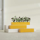 Salon Box fiberglass planter in Gloss Saffron, size range, in a sunlit interior