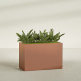 Brisbane Rectangular fiberglass planter in Matte Terra Cotta, shown planted, in a sunlit interior