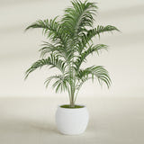 Shanghai Fishbowl fiberglass planter in Gloss Bright White, shown planted, in a sunlit interior