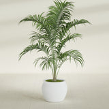 Shanghai Fishbowl fiberglass planter in Gloss Bright White, shown planted, in a sunlit interior