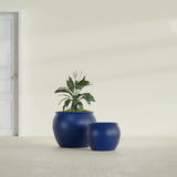 Shanghai Fishbowl fiberglass planter in Matte Cobalt Blue, size range, in a sunlit interior