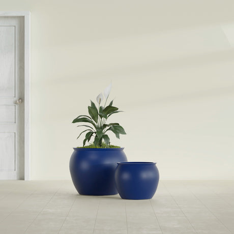 Shanghai Fishbowl fiberglass planter in Matte Cobalt Blue, size range, in a sunlit interior