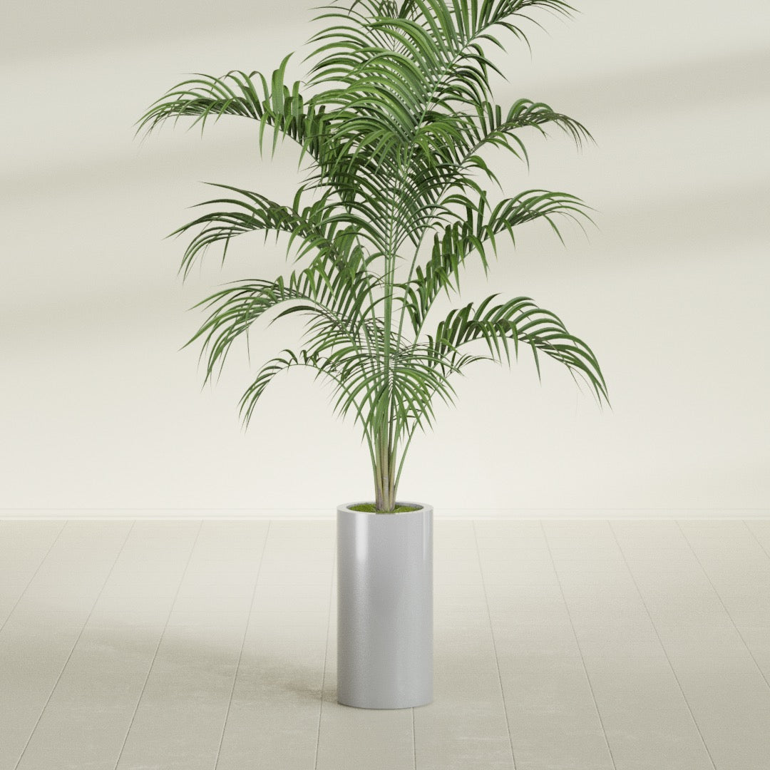 Corry Cylinder fiberglass planter in Metallic Silver, shown planted, in a sunlit interior