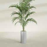 Corry Cylinder fiberglass planter in Metallic Silver, shown planted, in a sunlit interior