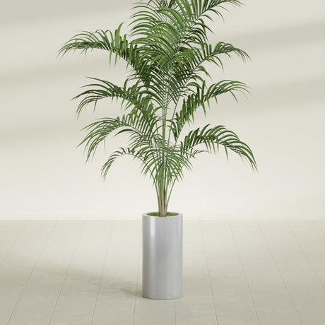 Corry Cylinder fiberglass planter in Metallic Silver, shown planted, in a sunlit interior