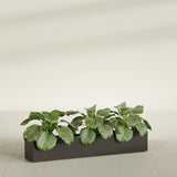 Salon Box fiberglass planter in Matte Dark Brown, shown planted, in a sunlit interior