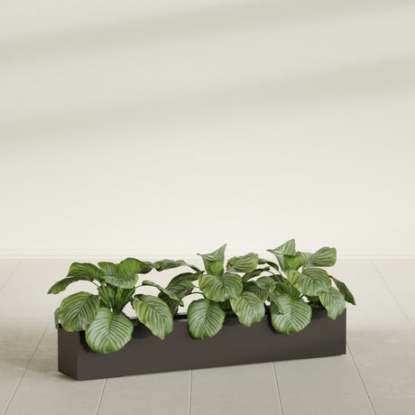 Salon Box fiberglass planter in Matte Dark Brown, shown planted, in a sunlit interior