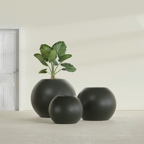 Globe fiberglass planter in Matte Charcoal, size range, in a sunlit interior