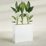 Amesbury Narrow Rectangular fiberglass planter in Matte Bright White, shown planted, in a sunlit interior