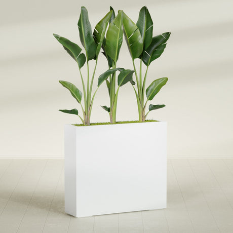 Amesbury Narrow Rectangular fiberglass planter in Matte Bright White, shown planted, in a sunlit interior