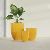 Valencia Tapered Round fiberglass planter in Gloss Saffron, size range, in a sunlit interior