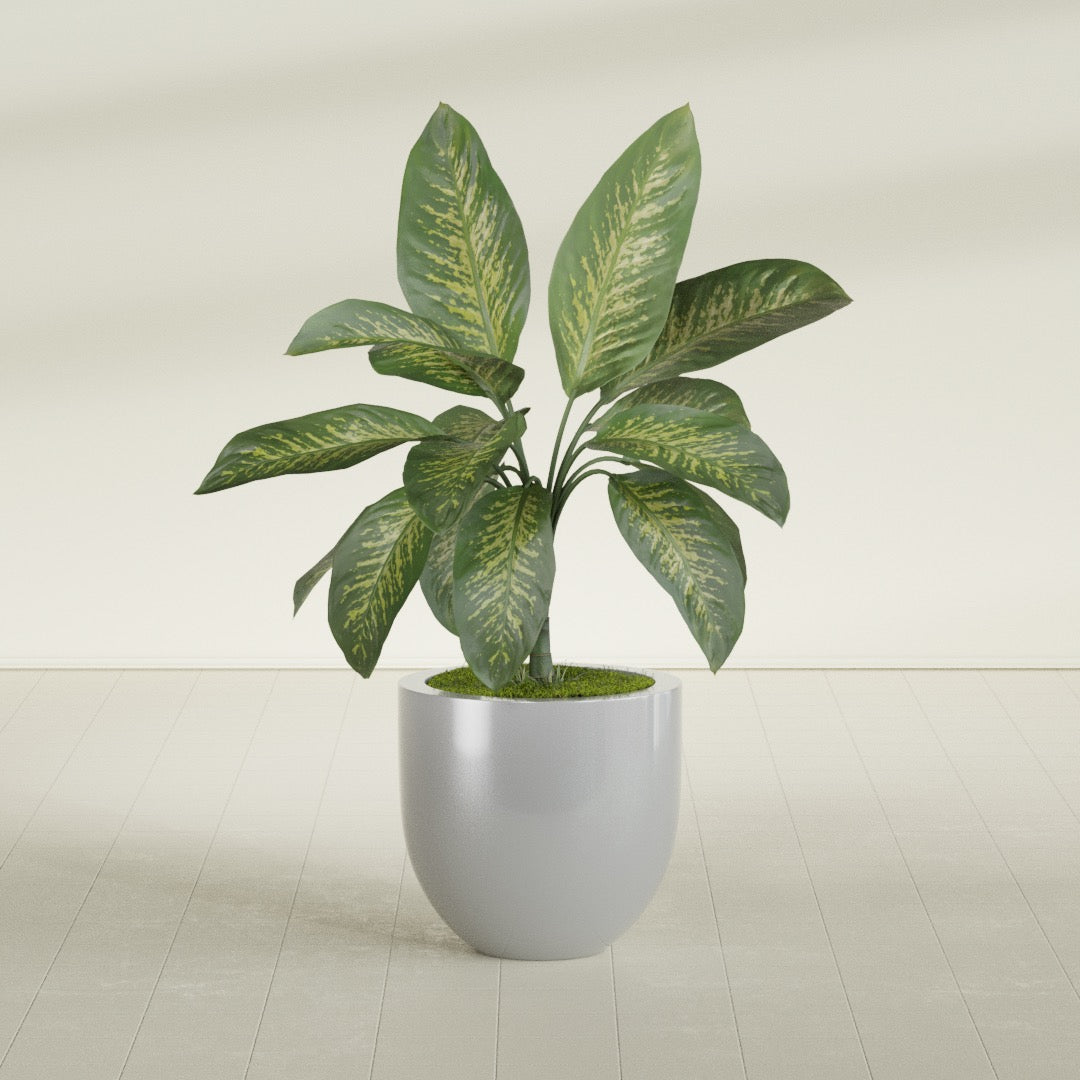 Alzira Bowl fiberglass planter in Metallic Silver, shown planted, in a sunlit interior