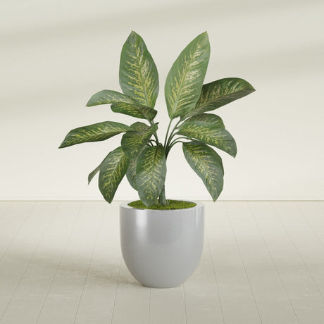 Alzira Bowl fiberglass planter in Metallic Silver, shown planted, in a sunlit interior
