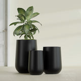 Hayden Urn fiberglass planter in Matte Black, size range, in a sunlit interior