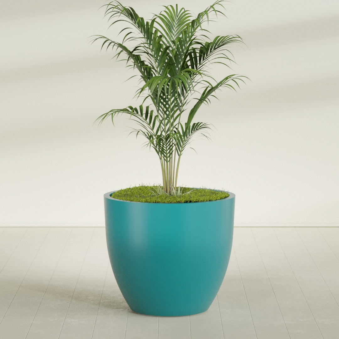 Wannsee Round fiberglass planter in Satin Seafoam Green, shown planted, in a sunlit interior