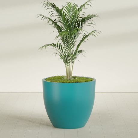 Wannsee Round fiberglass planter in Satin Seafoam Green, shown planted, in a sunlit interior