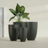 Brannan Tapered Round fiberglass planter in Matte Charcoal, size range, in a sunlit interior