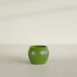 Shanghai Fishbowl Planter in Satin Green, 16", shown empty