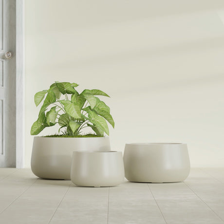 Short Hayden Bowl fiberglass planter in Satin Beige, size range, in a sunlit interior