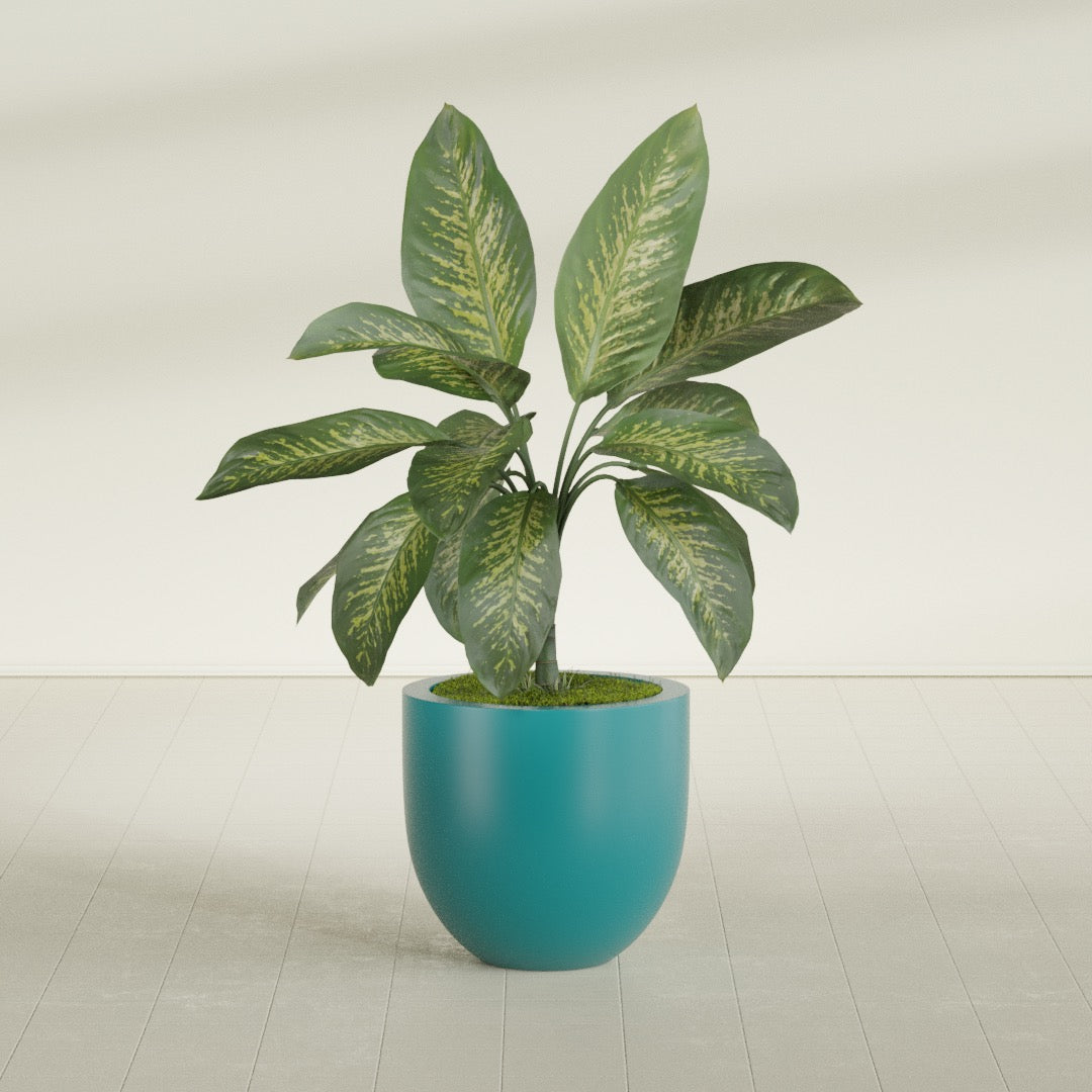 Alzira Bowl fiberglass planter in Satin Seafoam Green, shown planted, in a sunlit interior