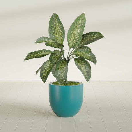 Alzira Bowl fiberglass planter in Satin Seafoam Green, shown planted, in a sunlit interior