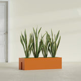 Tiergarden Railing fiberglass planter in Gloss Tangerine, shown planted, in a sunlit interior