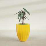 Alicante Fluted fiberglass planter in Gloss Saffron, shown planted, in a sunlit interior