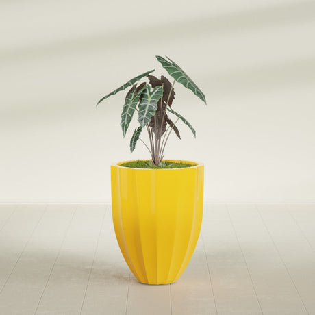 Alicante Fluted fiberglass planter in Gloss Saffron, shown planted, in a sunlit interior