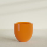 Alzira Bowl Planter in Gloss Tangerine, 36"D × 34"H, shown empty