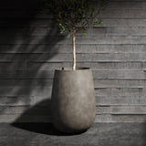 Mondo High tall round Cosapots fiberglass planter, shown planted with an olive tree against a board-formed concrete wall.