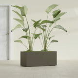 Badalona Rectangular fiberglass planter in Matte Bronze, shown planted, in a sunlit interior