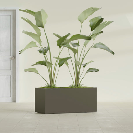 Badalona Rectangular fiberglass planter in Matte Bronze, shown planted, in a sunlit interior