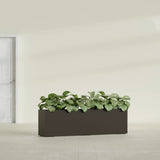 Hudson Extra Long fiberglass planter in Matte Dark Brown, shown planted, in a sunlit interior