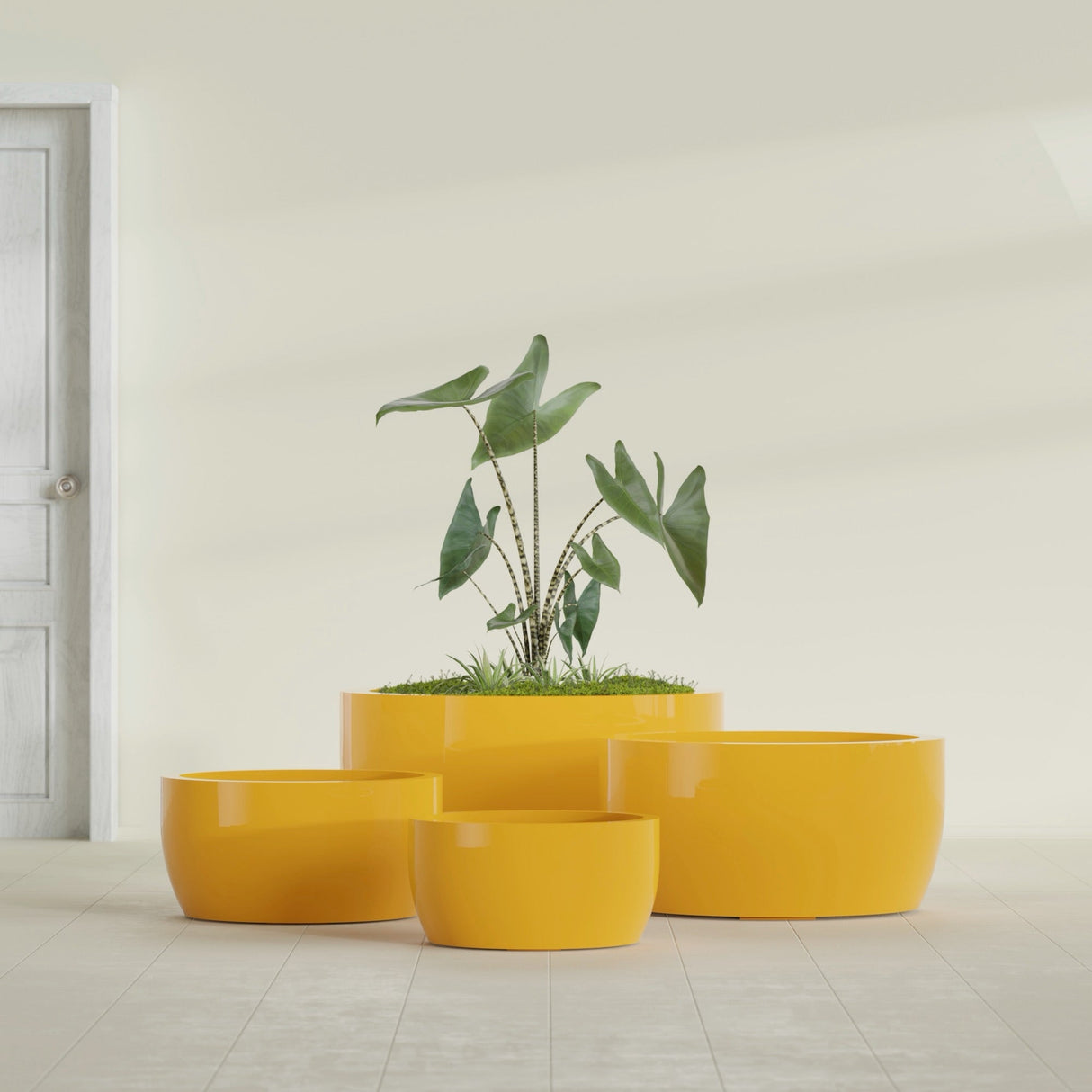 Casablanca Bowl fiberglass planter in Gloss Saffron, size range, in a sunlit interior