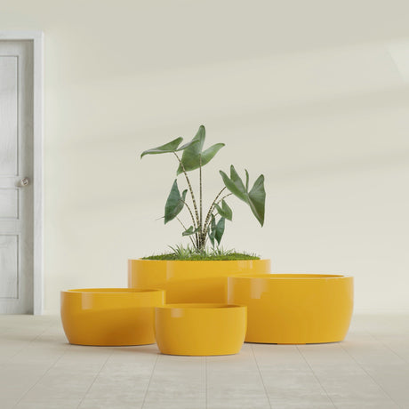 Casablanca Bowl fiberglass planter in Gloss Saffron, size range, in a sunlit interior