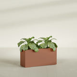 Miami Narrow Rectangular fiberglass planter in Matte Terra Cotta, shown planted, in a sunlit interior