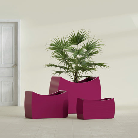 Seoul Curved fiberglass planter in Gloss Eggplant, size range, in a sunlit interior