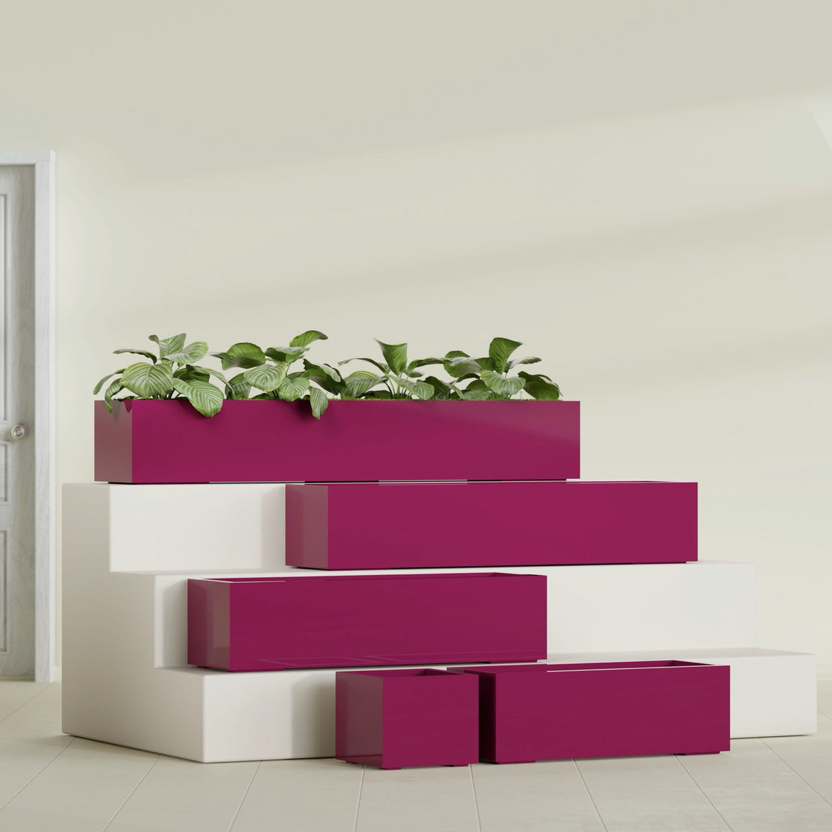 Cuba Low Rectangular fiberglass planter in Gloss Eggplant, size range, in a sunlit interior