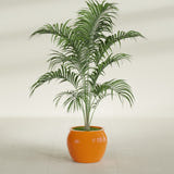 Shanghai Fishbowl fiberglass planter in Gloss Tangerine, shown planted, in a sunlit interior
