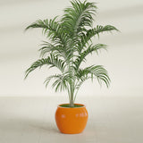 Shanghai Fishbowl fiberglass planter in Gloss Tangerine, shown planted, in a sunlit interior